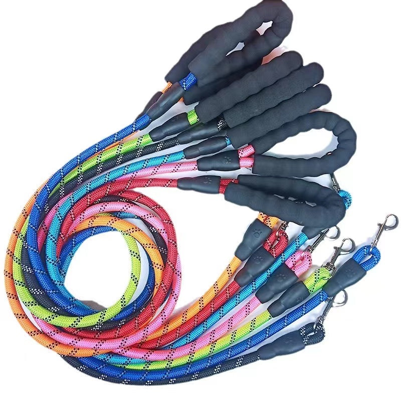 Dog Leash and Fishing Bait Set